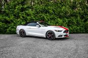 Pronájem Ford Mustang 3.7 V6 Cabrio bílá - skvělý zvuk 