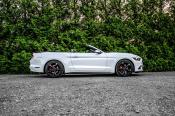 Pronájem Ford Mustang 3.7 V6 Cabrio bílá - skvělý zvuk 